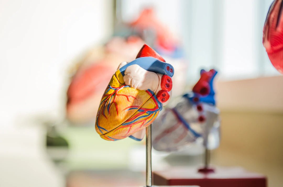 Advanced Training Models for Cardiac Surgery Skills - SurgiSim