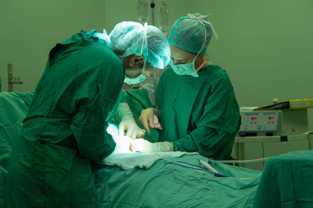 Explore Surgical Training Models: A Comprehensive Guide - SurgiSim