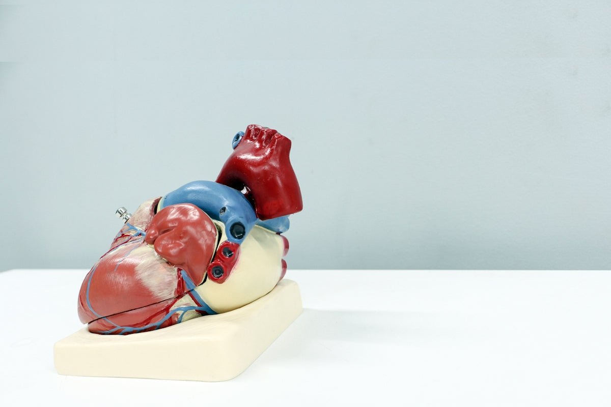 Laparoscopic training simulator for surgical skills