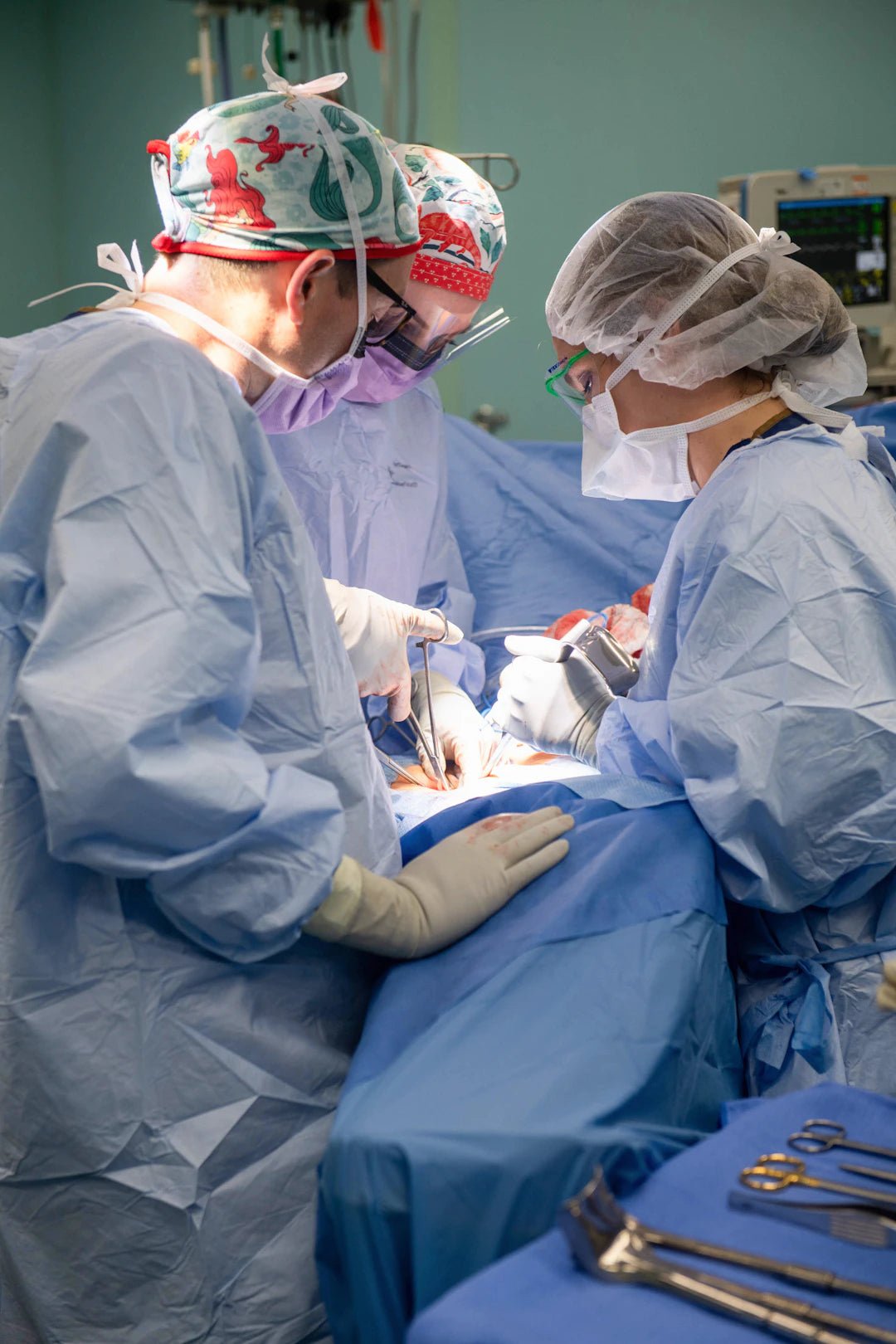Realistic Embedded Models for Vascular Surgery Training - SurgiSim