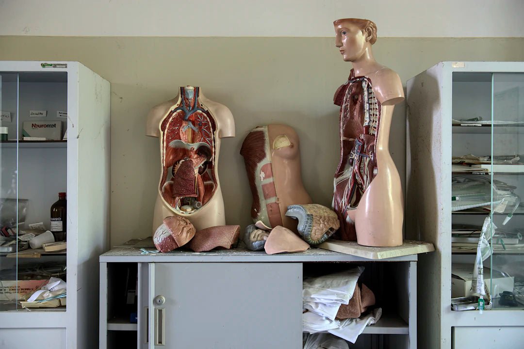 The Role of Surgical Training Models in Reducing Patient Risk - SurgiSim
