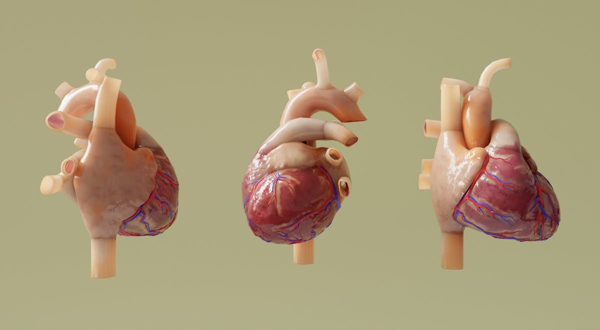 Top 5 Features to Look for in a Vascular Anastomosis Training Model - SurgiSim