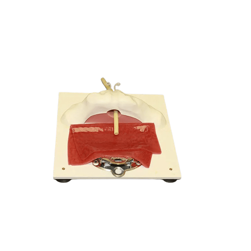 3-Dmed Vesico-Urethral Holder Kit – Urology Training - Urology Surgical Training