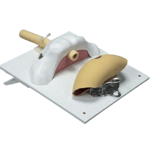 3-Dmed Vesico-Urethral Holder Kit – Urology Training - Urology Surgical Training