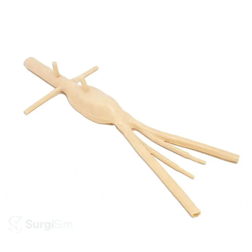 Vascular surgical training model branching aorta