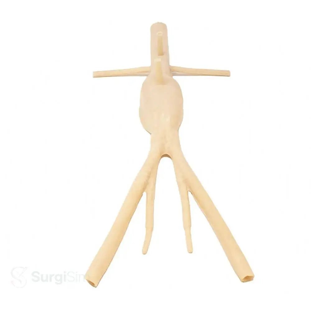Abdominal aortic aneurysm model AAA training simulator