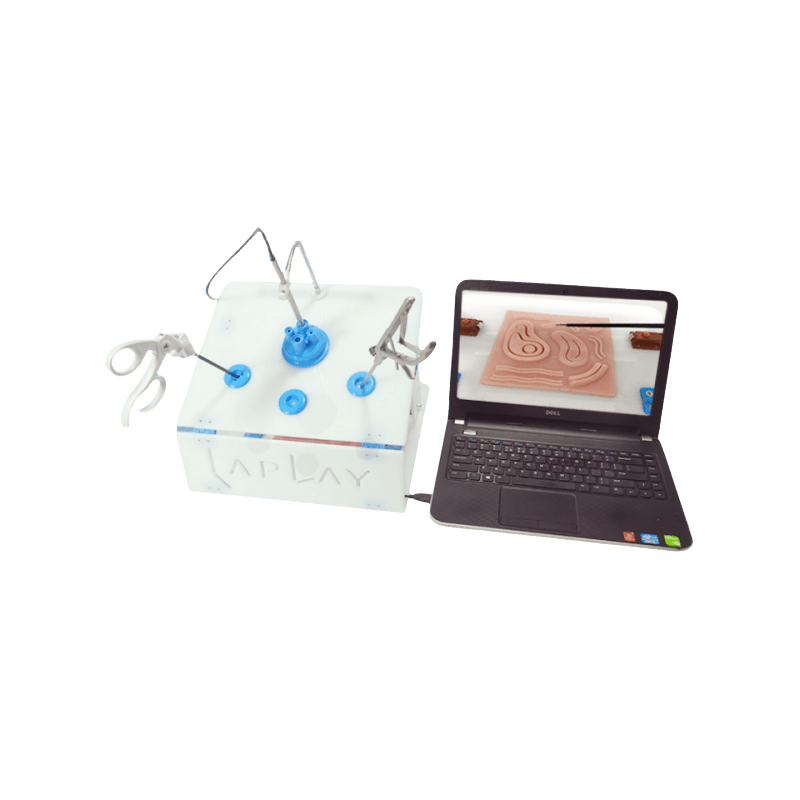 Abdominal Cavity Laparoscopic Surgery Simulation Trainer - Laparoscopic Simulators