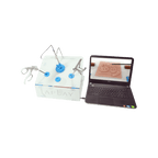 Abdominal Cavity Laparoscopic Surgery Simulation Trainer - Laparoscopic Simulators