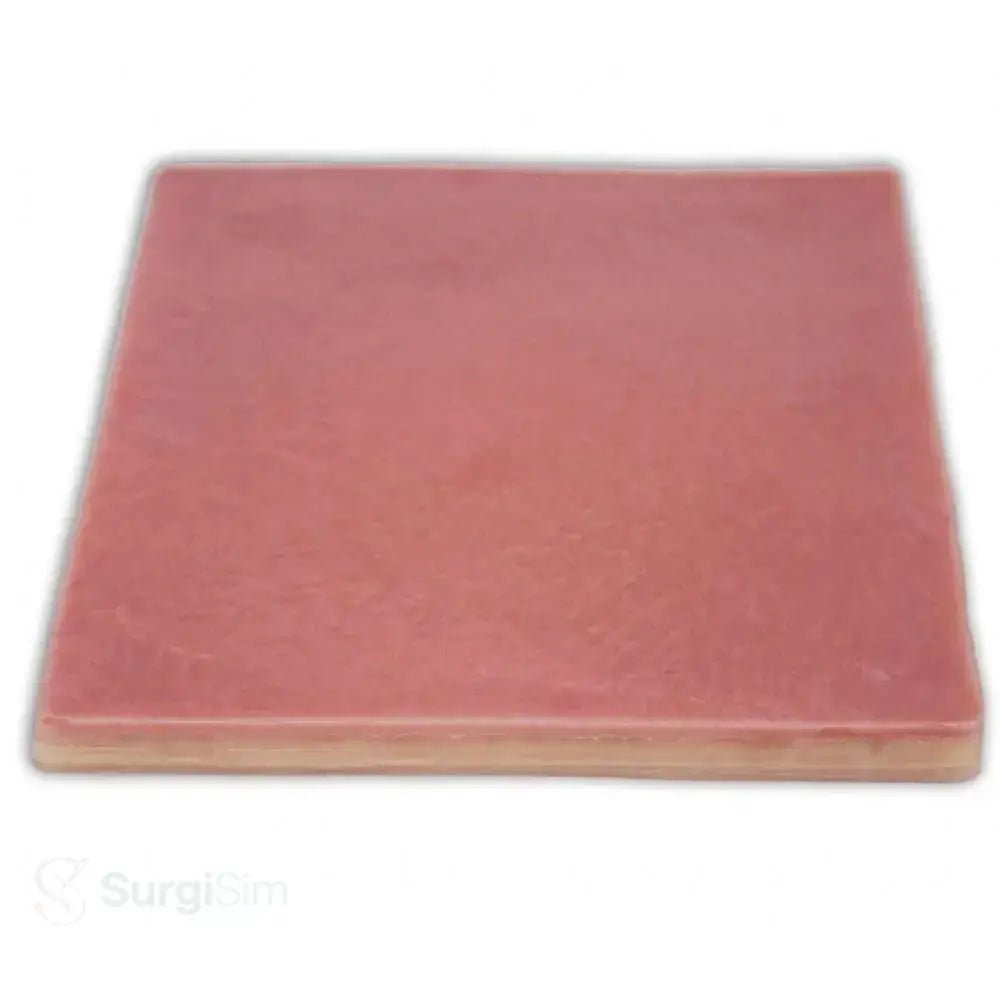 Abdominal Multilayer Skin Model | Surgical Suturing & Tissue Dissection Trainer - Suture Training Pad