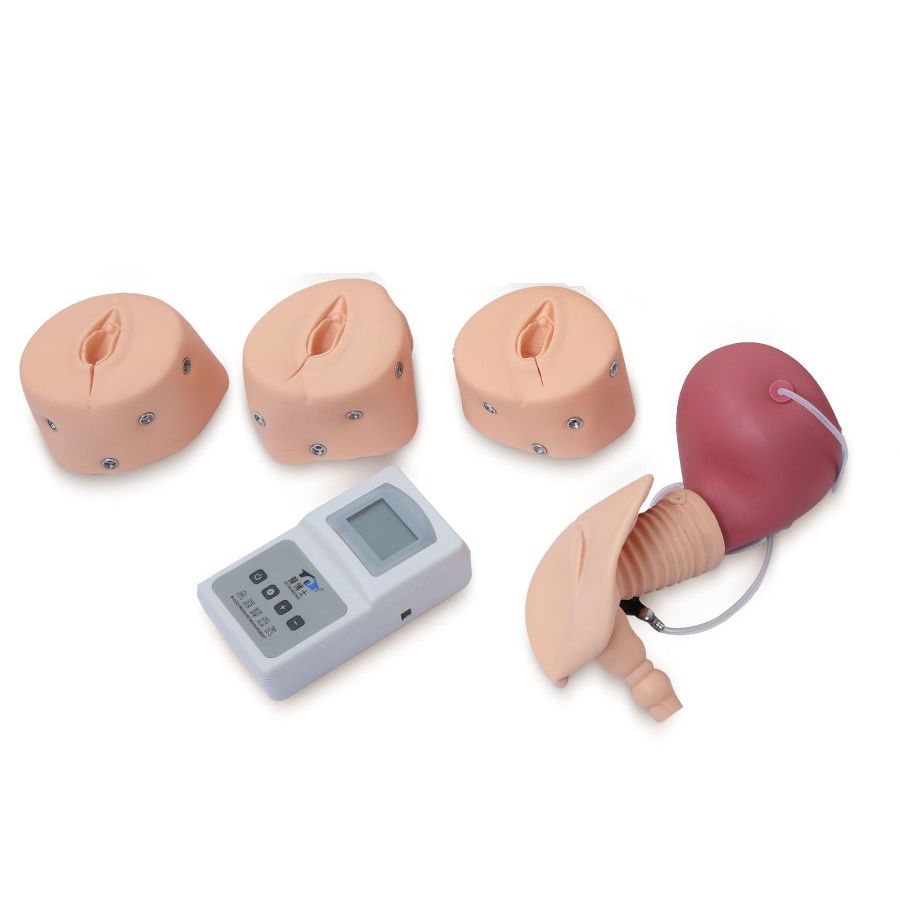 Advanced Delivery & Maternity Training Model - Obstetrics & Gynaecology
