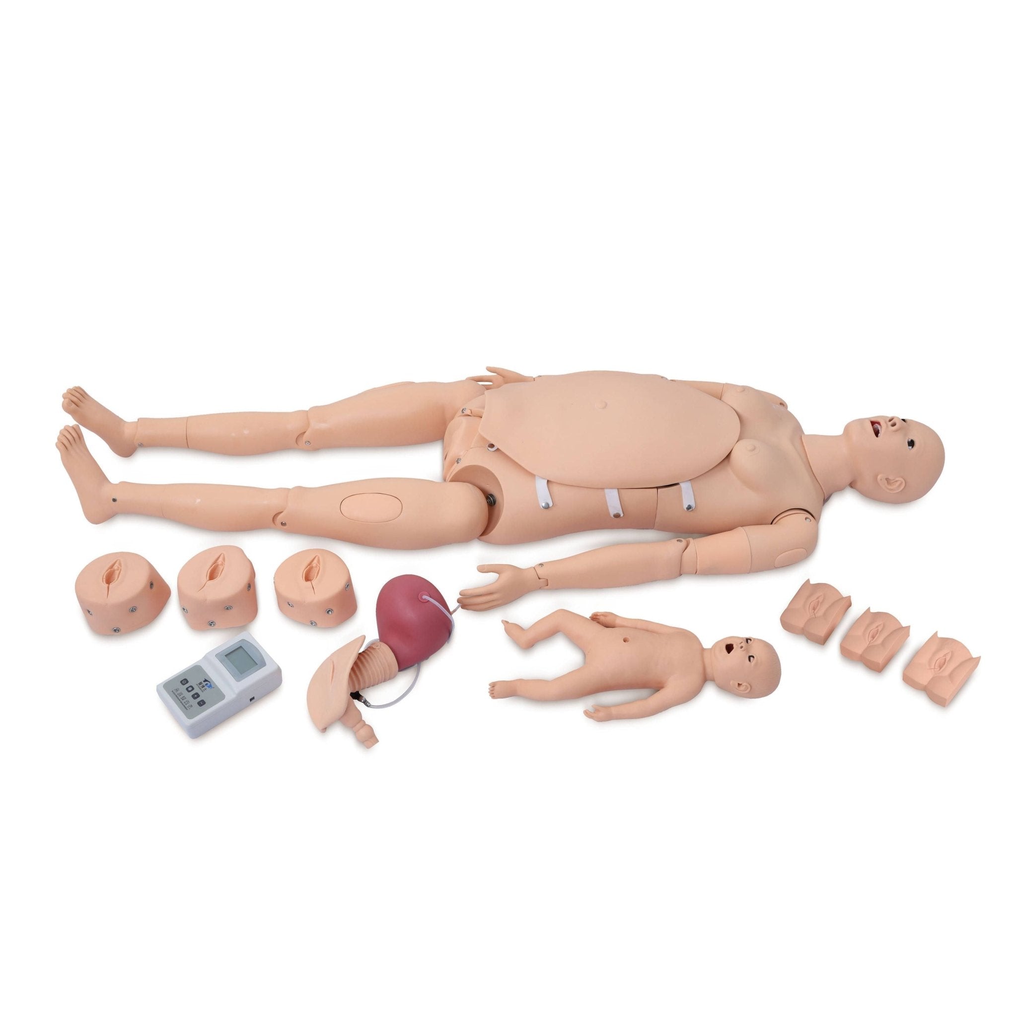 Advanced Delivery & Maternity Training Model - Obstetrics & Gynaecology