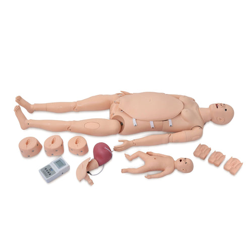 Advanced Delivery & Maternity Training Model - Obstetrics & Gynaecology