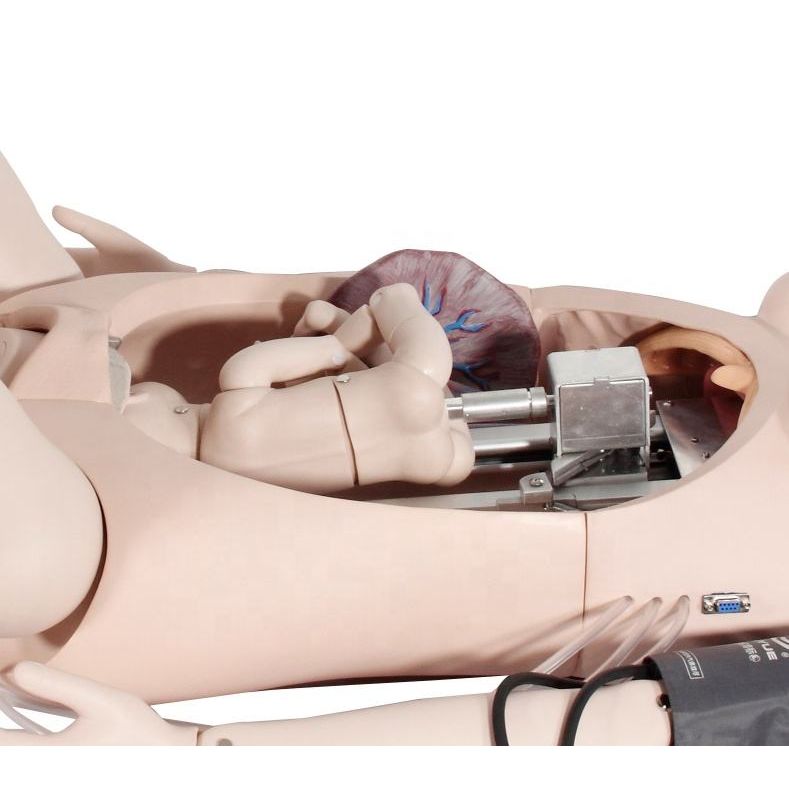Advanced Delivery & Maternity Training Model - Obstetrics & Gynaecology