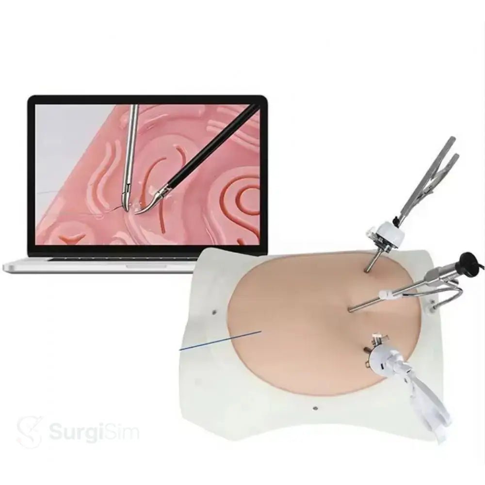 Laparoscopy training model