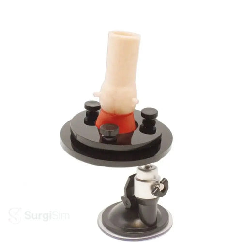 Aortic valve base for cardiac surgery training