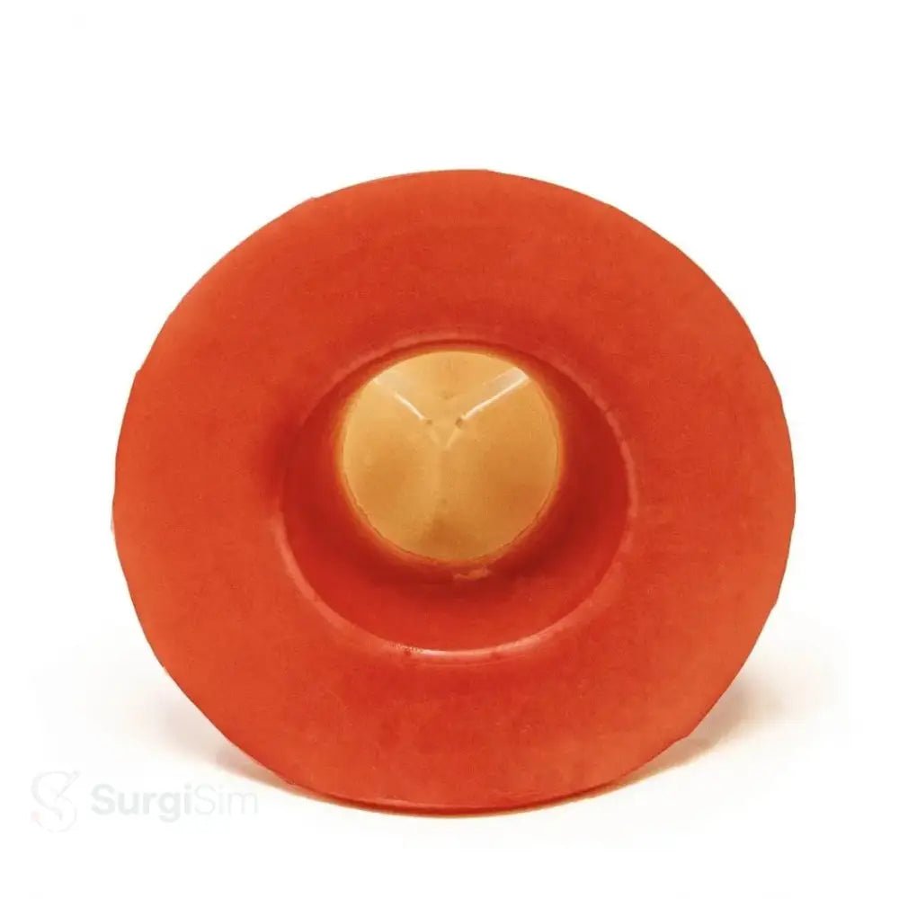 Cardiac valve replacement training simulator model