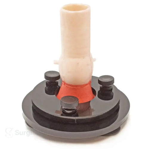 Surgical aortic valve practice model close-up