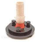 Surgical bicuspid valve training model close-up