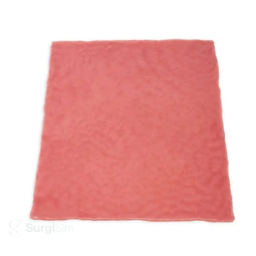 bowel tissue sheet intestinal anastomosis training model
