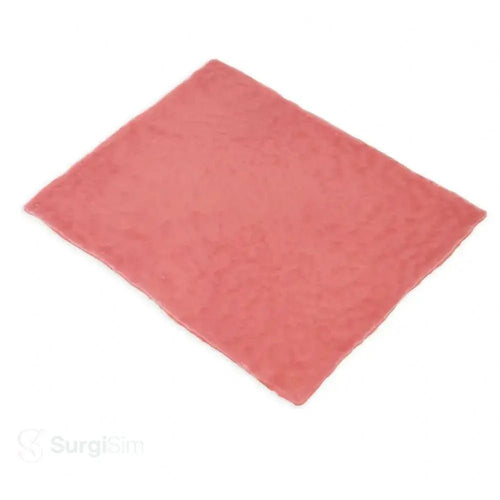 Bowel Tissue Sheet | Surgical Suturing & Intestinal Anastomosis Training Model - Suture Training Pad