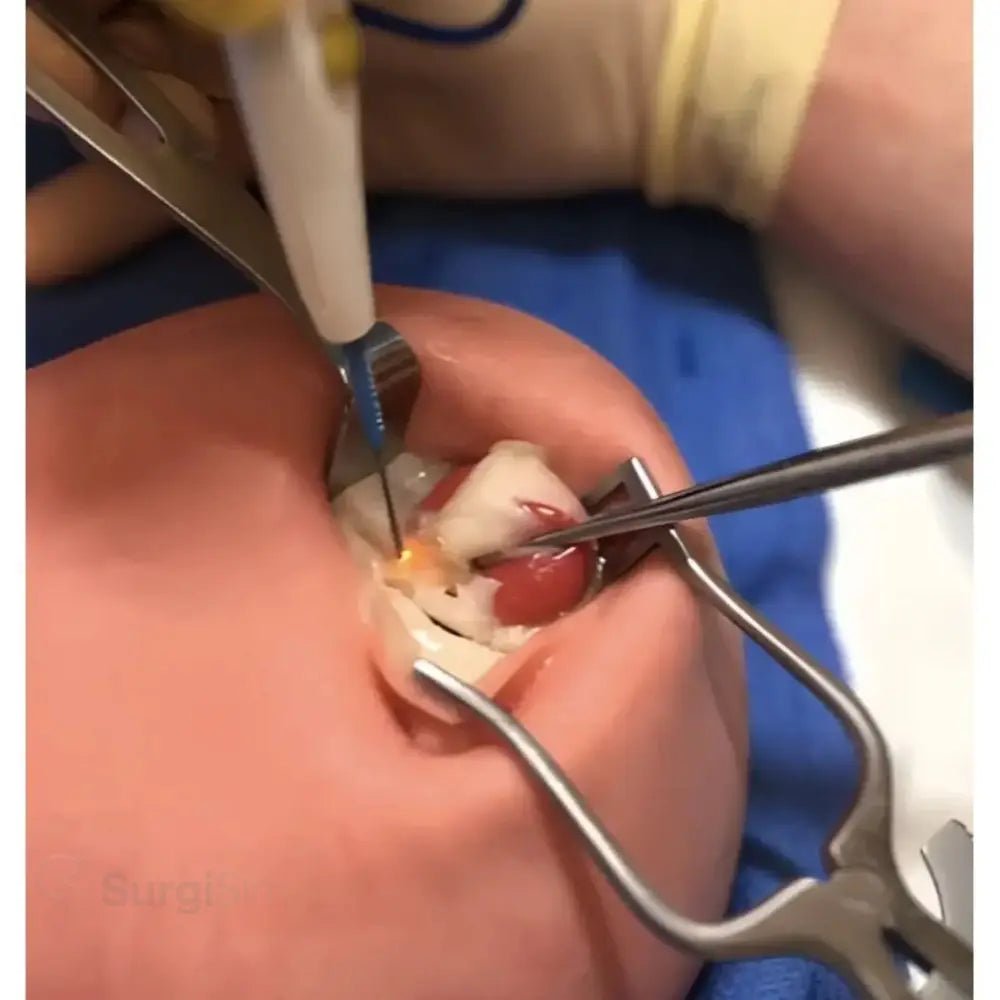 Ultrasound biopsy simulator