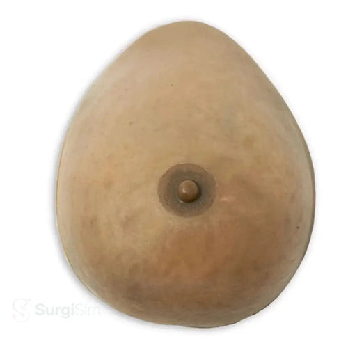 Breast biopsy training model