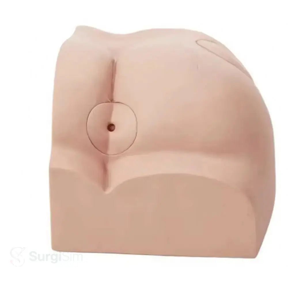 Buttock Intramuscular Injection Training Model | Gluteal IM Injection Practice Simulator - Injection, IV & Venipuncture Training Models