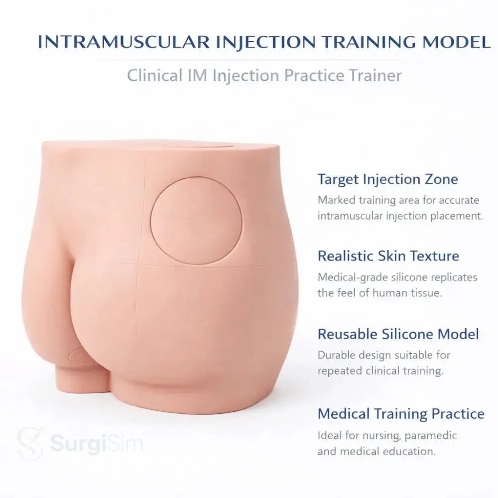 Buttock Intramuscular Injection Training Model | Gluteal IM Injection Practice Simulator - Injection, IV & Venipuncture Training Models