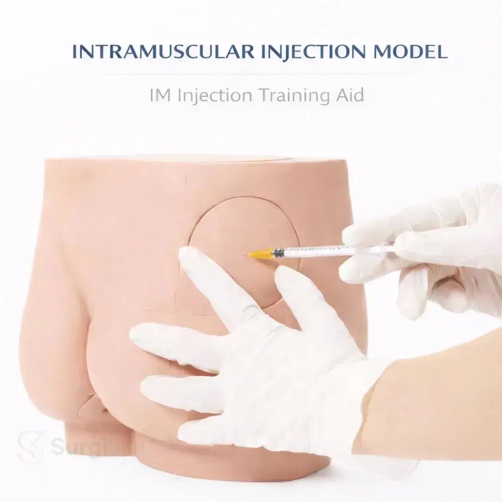Buttock Intramuscular Injection Training Model | Gluteal IM Injection Practice Simulator - Injection, IV & Venipuncture Training Models