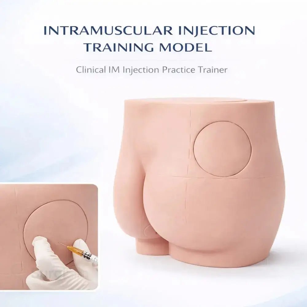 Buttock Intramuscular Injection Training Model | Gluteal IM Injection Practice Simulator - Injection, IV & Venipuncture Training Models