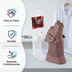 Canine Head & Neck Venipuncture Trainer - Veterinary IV, Injection & Venipuncture