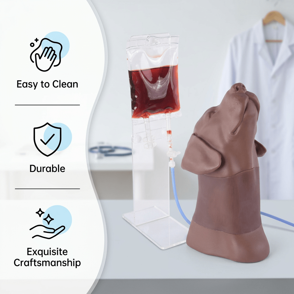 Canine Head & Neck Venipuncture Trainer - Veterinary IV, Injection & Venipuncture