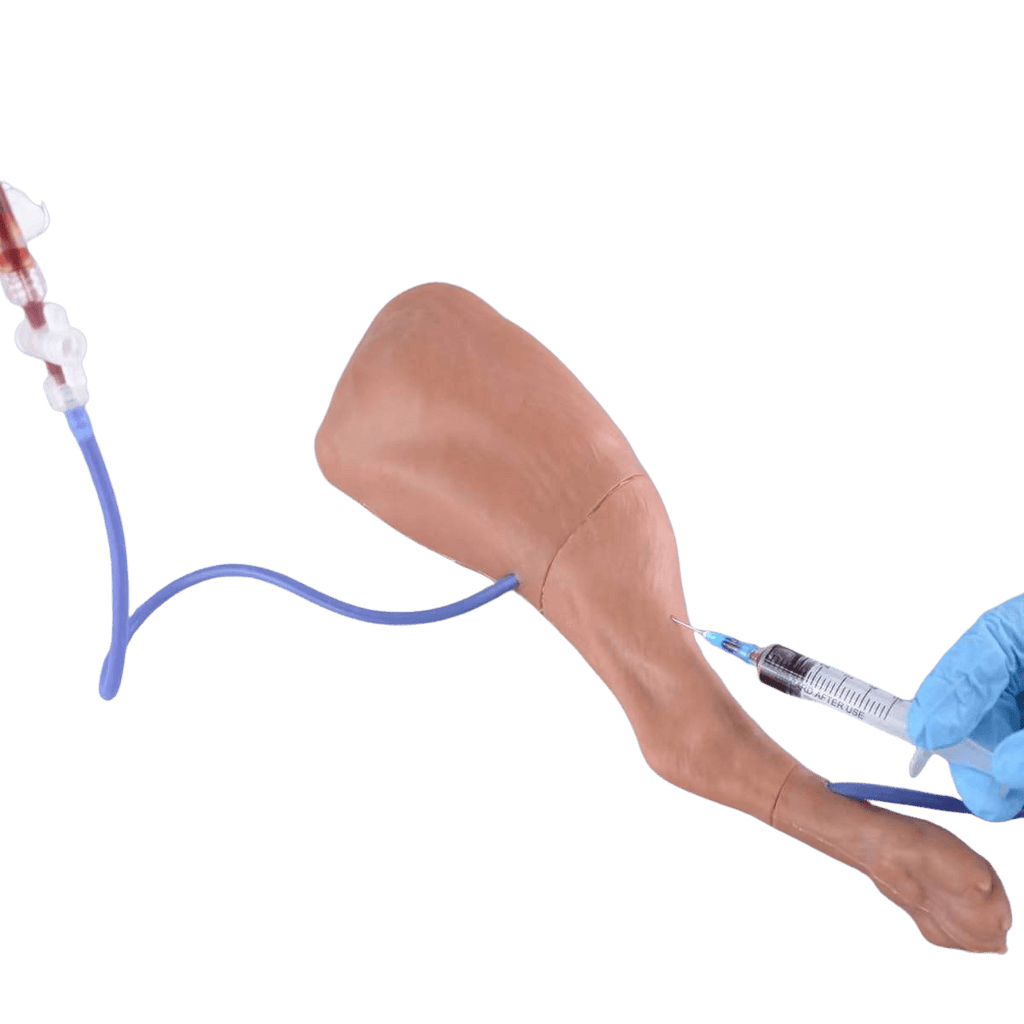 Canine IV Injection & Venipuncture Training Leg Model - Veterinary IV, Injection & Venipuncture