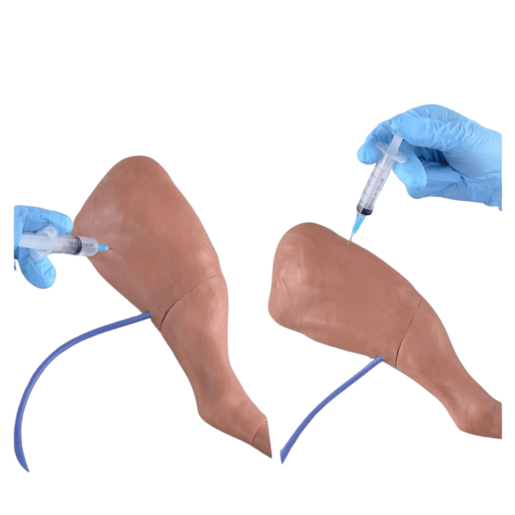 Canine IV Injection & Venipuncture Training Leg Model - Veterinary IV, Injection & Venipuncture