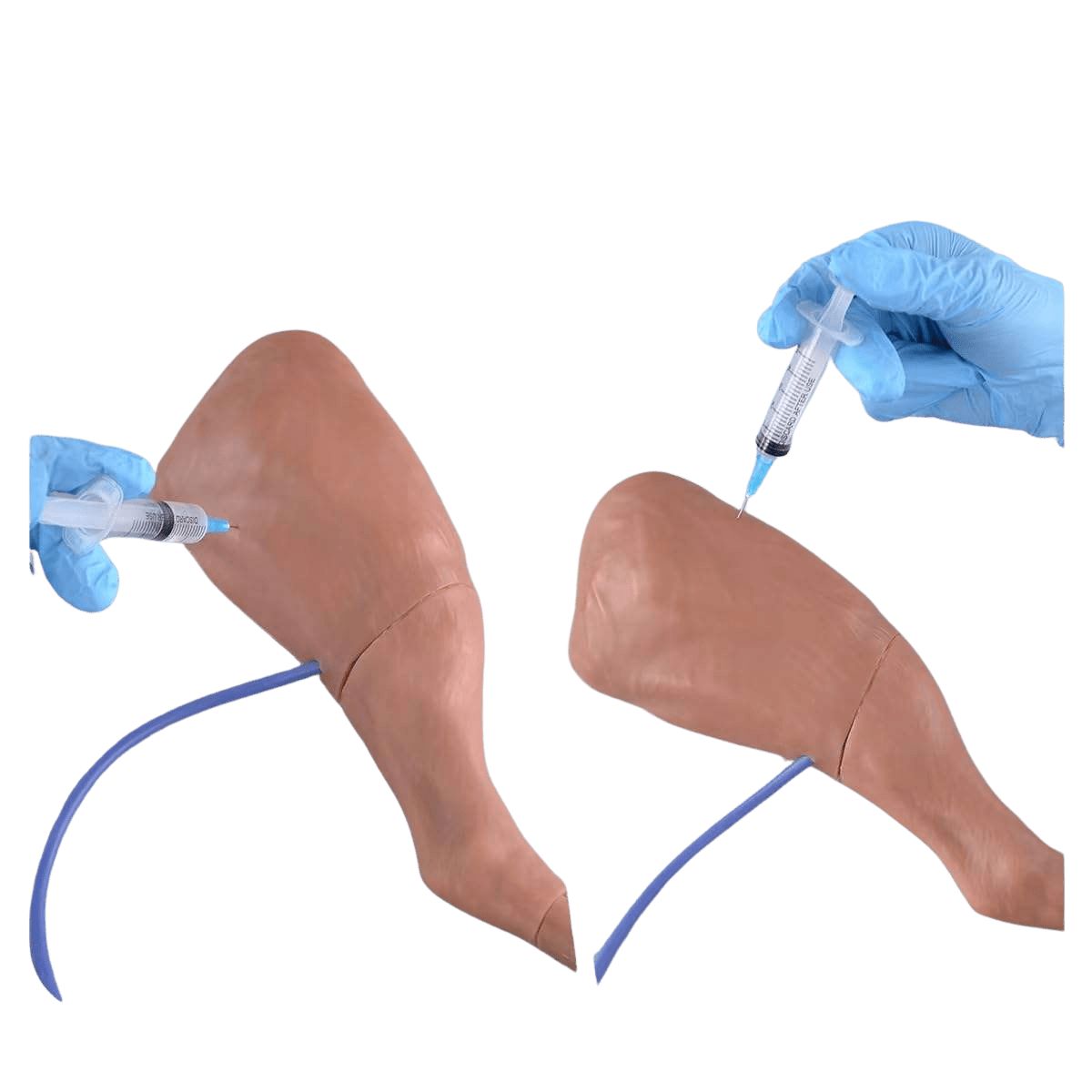 Canine IV Injection & Venipuncture Training Leg Model - Veterinary IV, Injection & Venipuncture