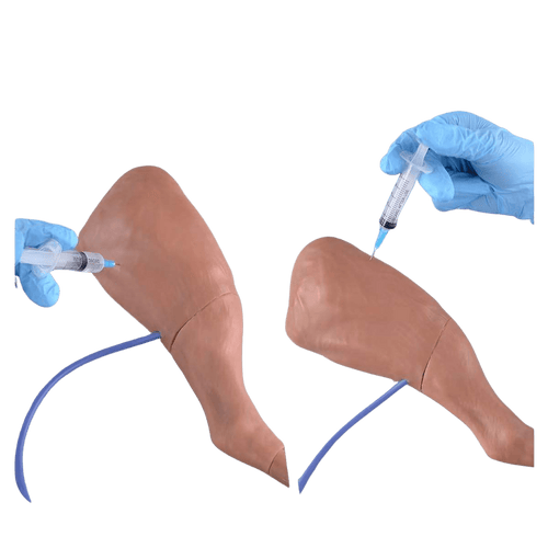 Canine IV Injection & Venipuncture Training Leg Model - Veterinary IV, Injection & Venipuncture