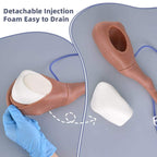 Canine IV Injection & Venipuncture Training Leg Model - Veterinary IV, Injection & Venipuncture
