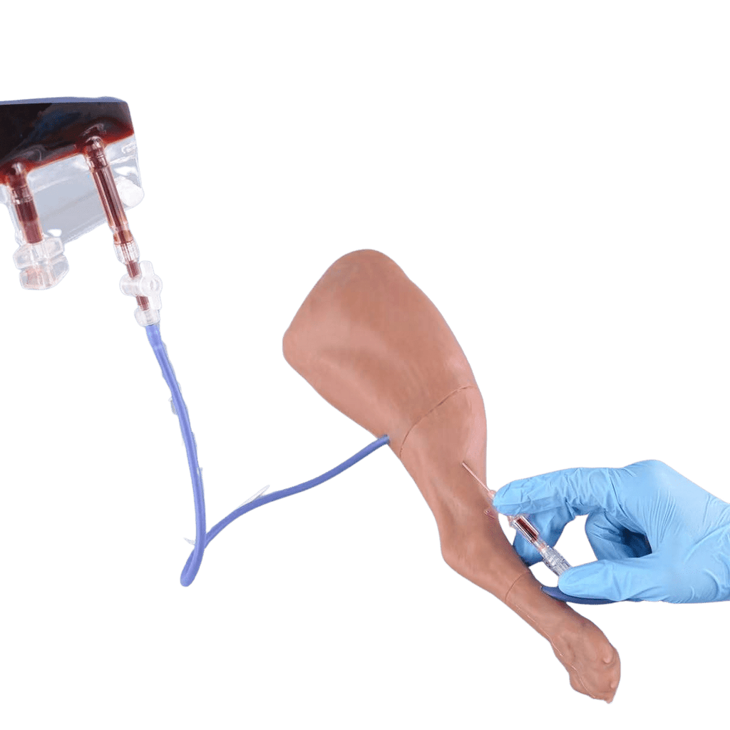 Canine IV Injection & Venipuncture Training Leg Model - Veterinary IV, Injection & Venipuncture