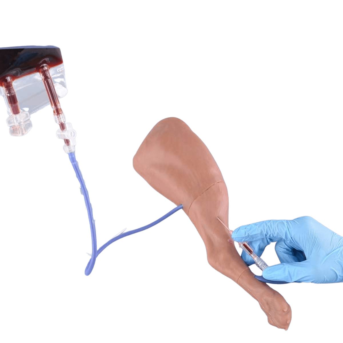 Canine IV Injection & Venipuncture Training Leg Model - Veterinary IV, Injection & Venipuncture