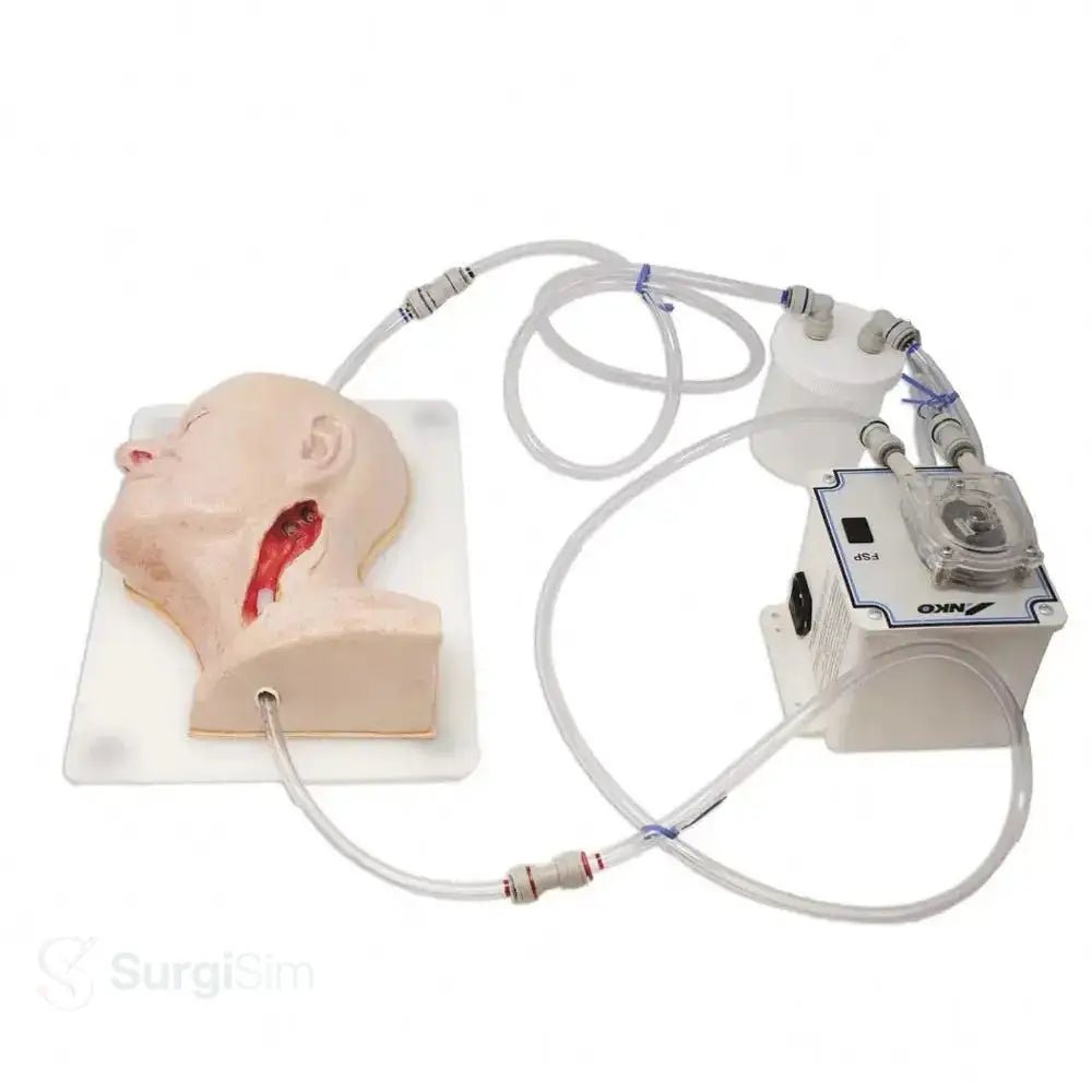Vascular surgery training model carotid anatomy
