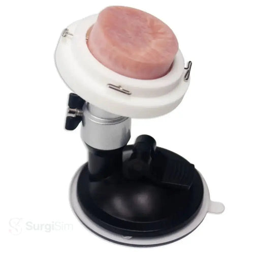 Cervix biopsy training model