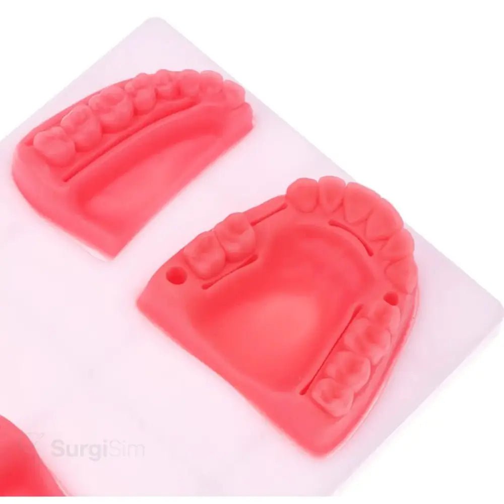Dental Gum Suture Training Model | Silicone Oral Surgery & Periodontitis Practice Pad - Suture Training Pad