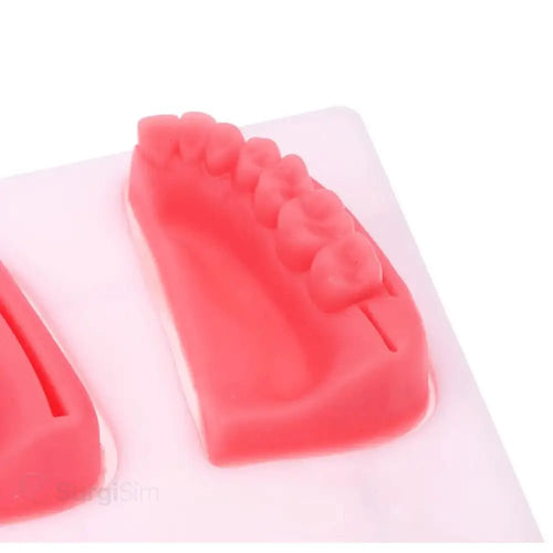 Silicone dental suturing pad periodontal training