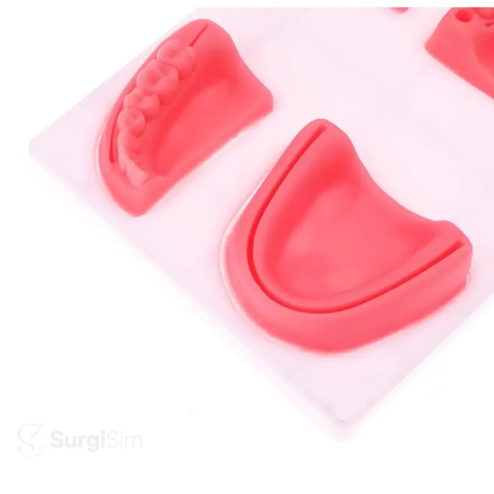 Dental Gum Suture Training Model | Silicone Oral Surgery & Periodontitis Practice Pad - Suture Training Pad