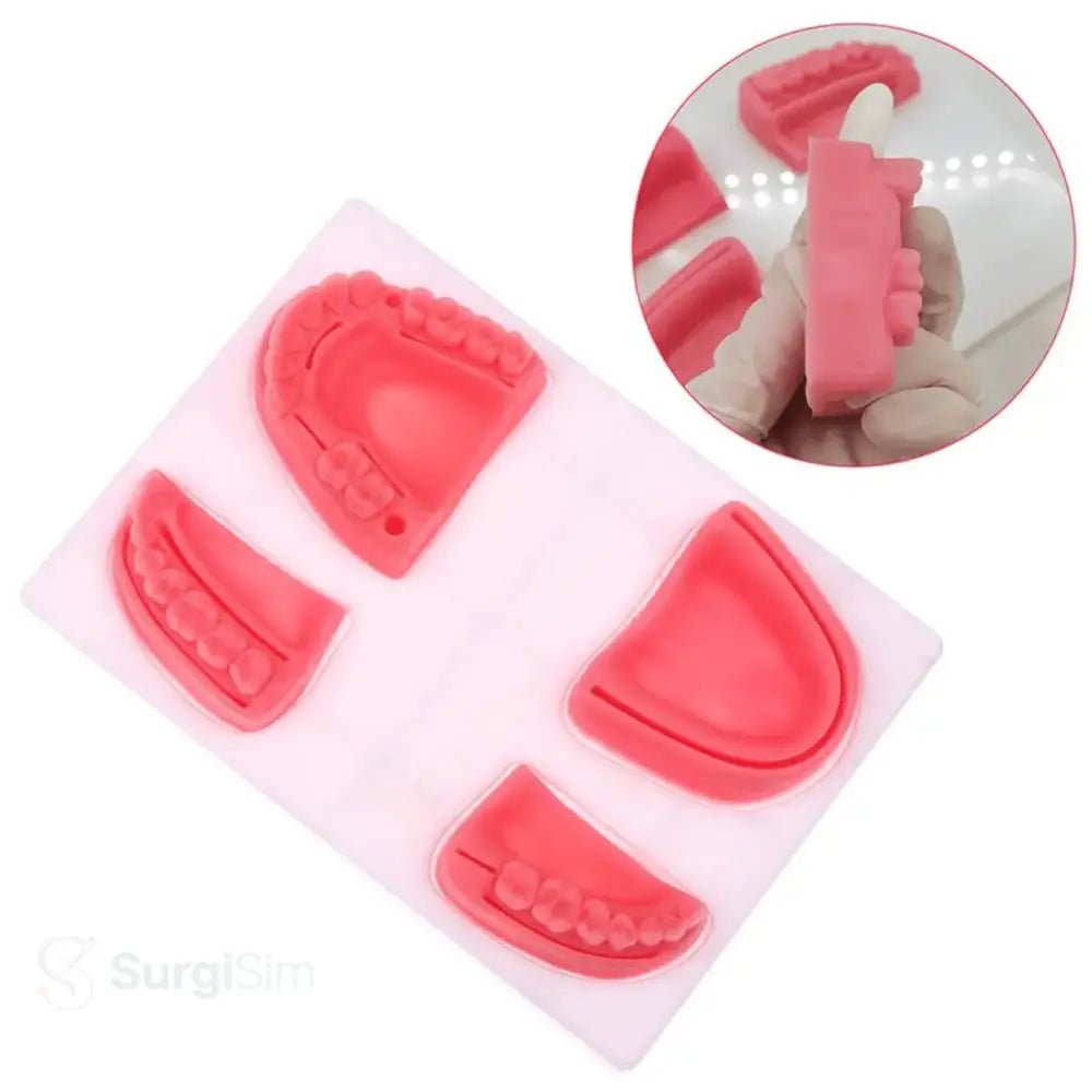 Oral surgery suture model close-up gum tissue