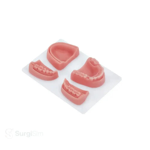Dental suturing training model close-up