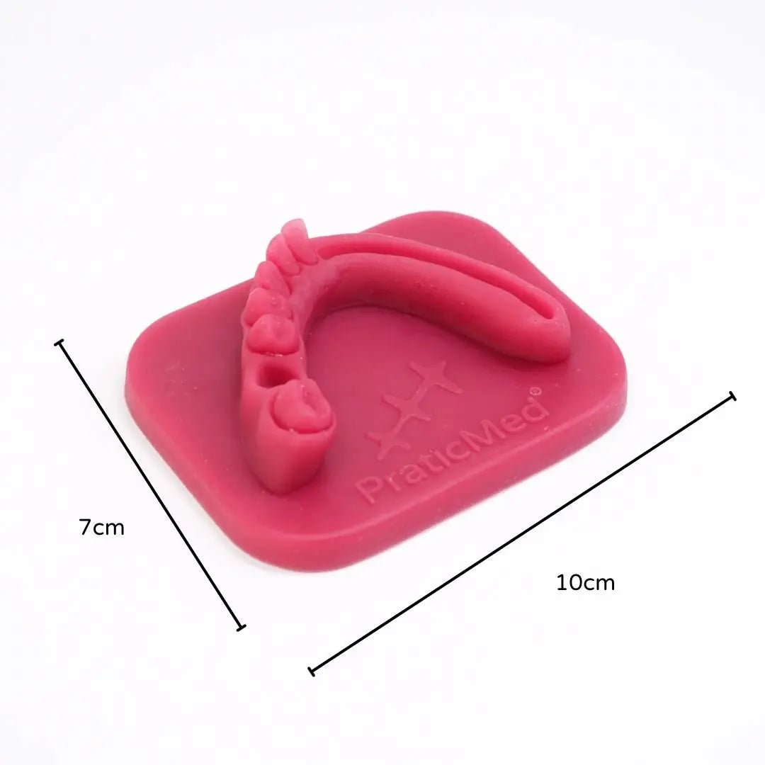 Dentistry Suture, Flap Closure Eco Training Pad - PraticMed - Dental Suture Flap Closure Training Pads