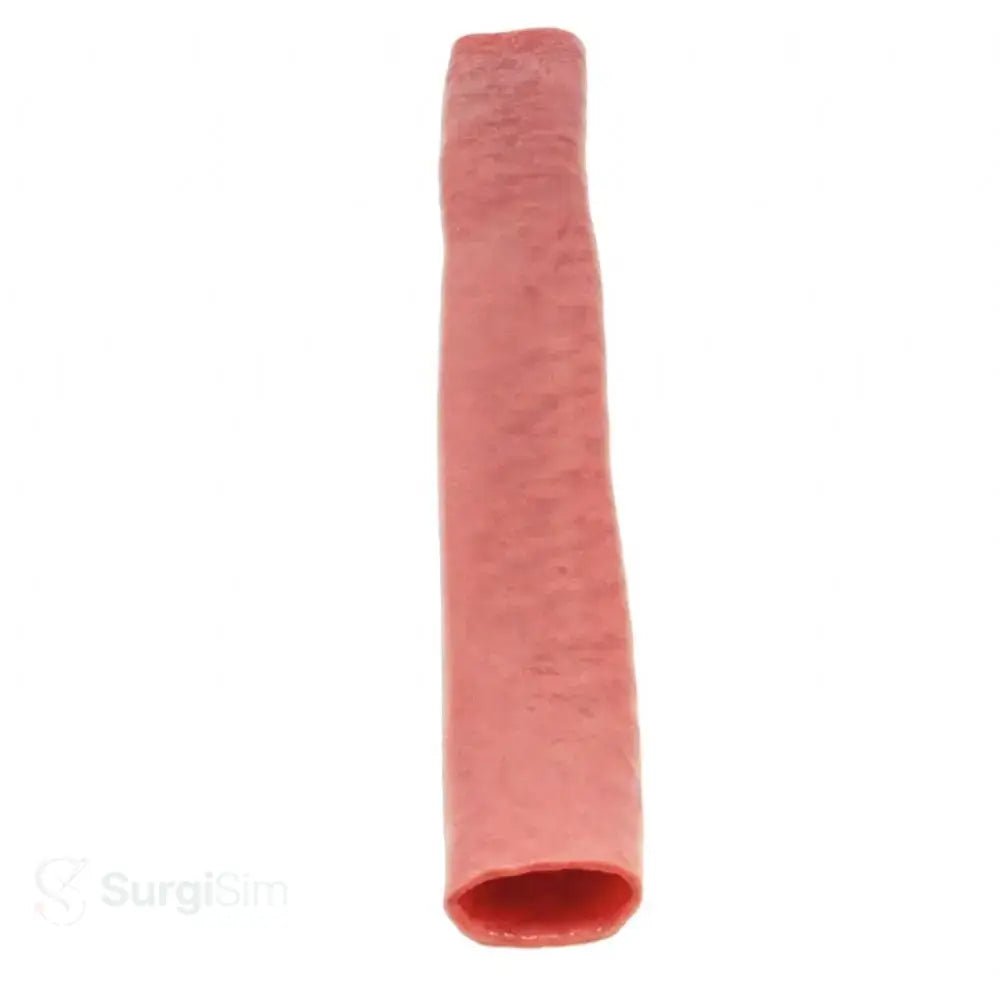 Double Layer Bowel | Two - Layer Intestinal Anastomosis Surgical Training Model - Suture Training Pad