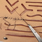 Eco Suture Ligature Training Kit (Med&Vet) - PraticMed - Kampanya Sütür Setleri