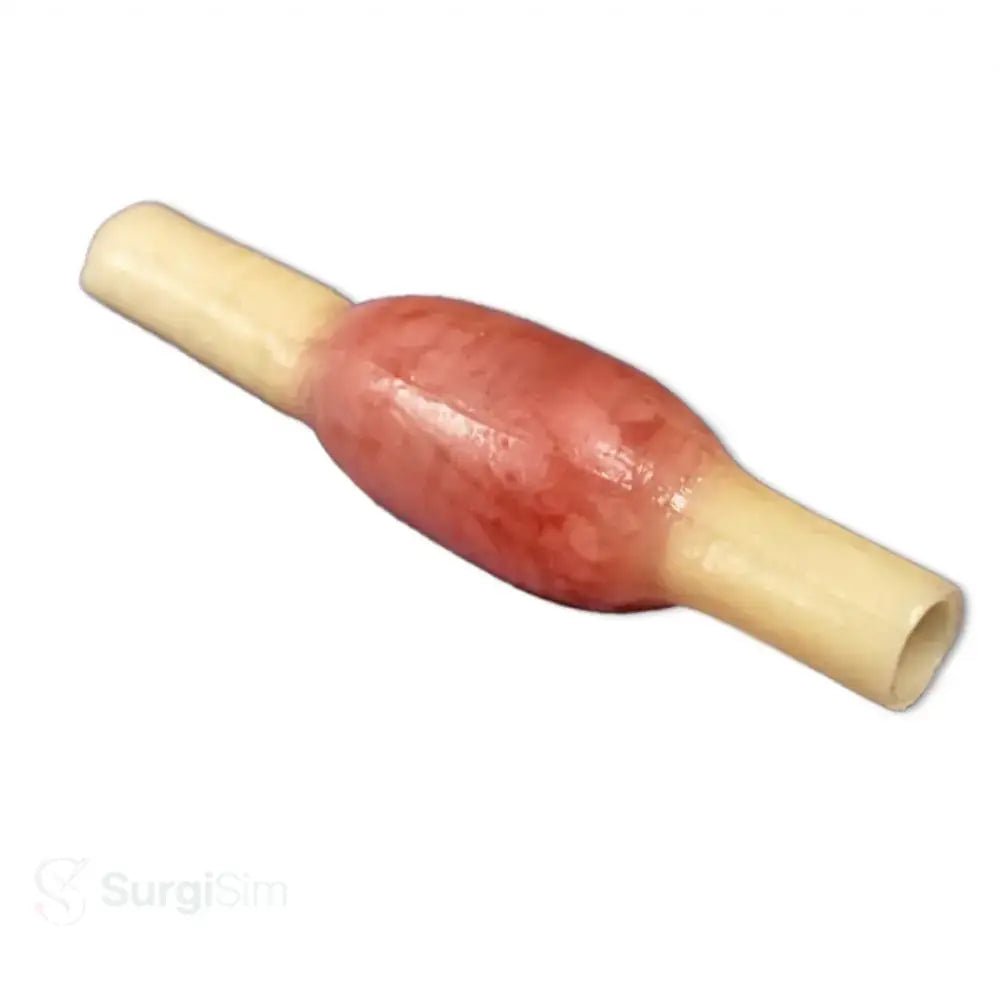 Ectopic Pregnancy Model | OB - GYN Surgical Training Simulator - Obstetrics, Gynecology & OB/GYN Surgical Simulation Training Models
